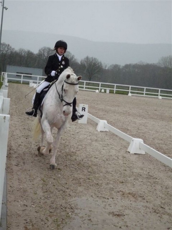 1ª Fase de la Liga de Doma. Zenotz.